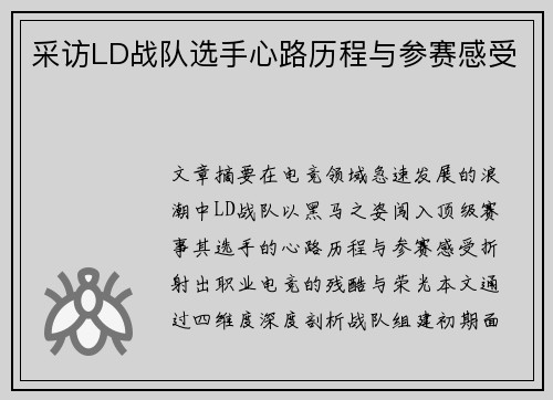 采访LD战队选手心路历程与参赛感受