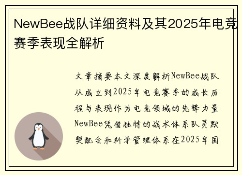 NewBee战队详细资料及其2025年电竞赛季表现全解析